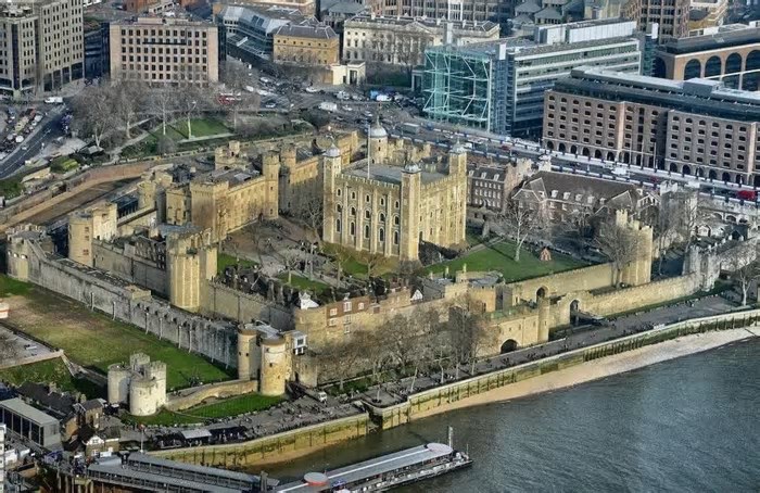 O fascinante zoológico na histórica Torre de Londres