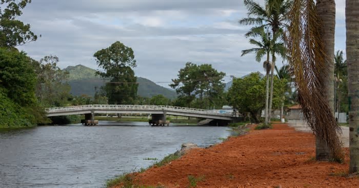 Entorno do Rio do Brás terá replantio de vegetação nativa e de restinga em Florianópolis