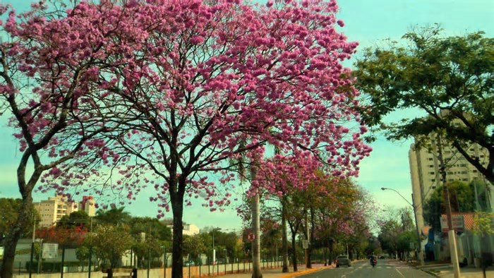 Cidade no interior de São Paulo se destaca pelos eventos culturais e qualidade de vida