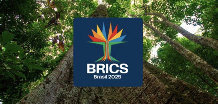 Reuniões do BRICS desta semana destacam temas prioritários para o Sul Global