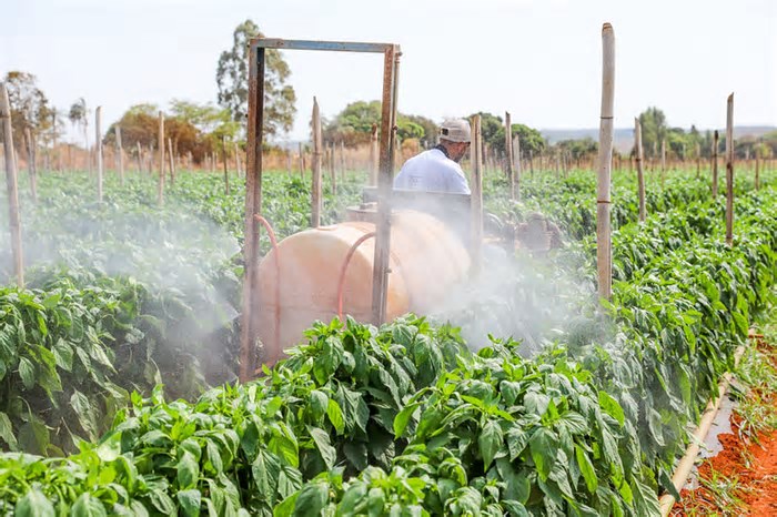 Distrito Federal fortalece presença internacional e se consolida como polo estratégico do agronegócio