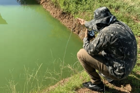 Programa de aceleração investe R$ 600 mil em negócios de impacto na Amazônia