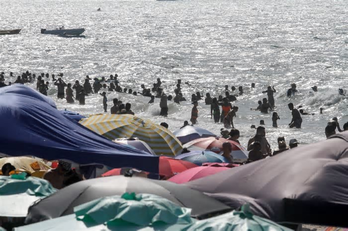 Quais praias estão próprias para banho durante o Carnaval em Santa Catarina