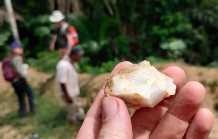 Humanos habitavam florestas tropicais bem antes do que a ciência acreditava