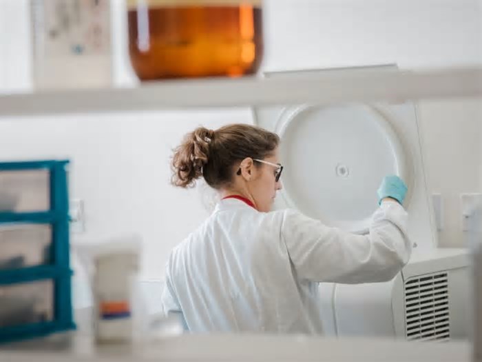 CNPq anuncia vencedoras do Prêmio Mulheres e Ciência