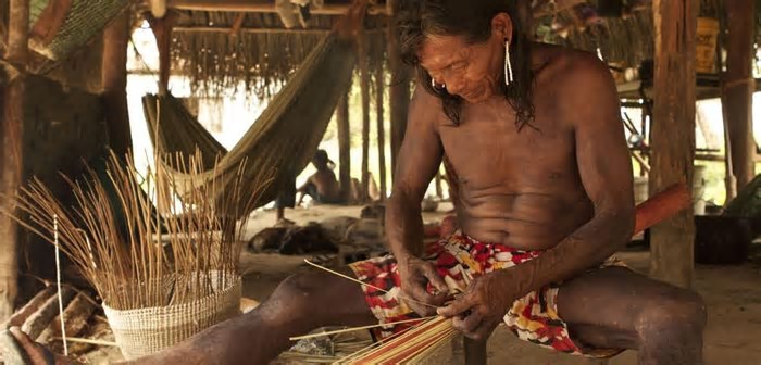 Bioeconomia precisa de maior integração entre ciência e tecnologia, populações tradicionais e mercado, diz estudo do Idesam