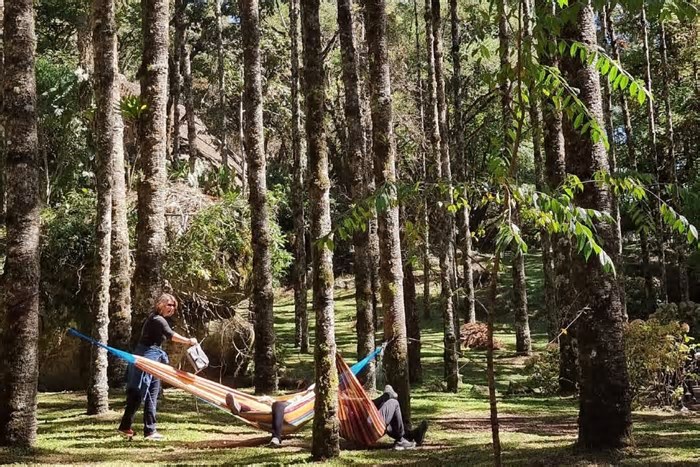 5 melhores passeios gratuitos para curtir Monte Verde