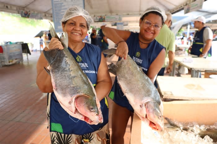 Feirão do Pescado 2025 terá três pontos de venda em Manaus; confira