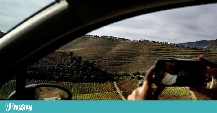Do luxo ao “mochileiro”, o Douro em busca dos seus turistas: “Que Douro és tu”?