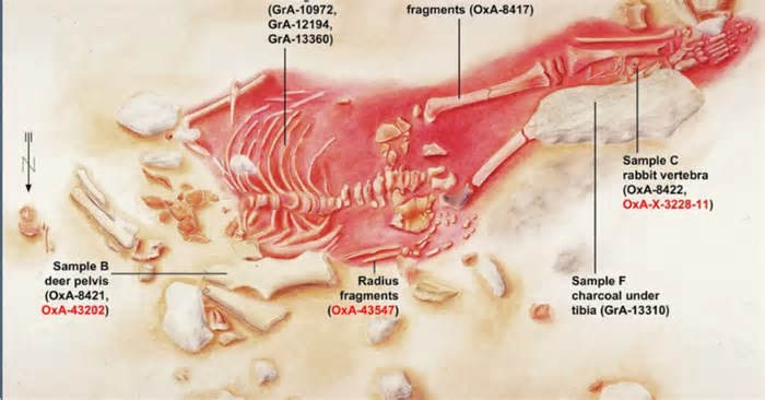 Esqueleto de criança com traços humanos e neandertais é datado pela primeira vez