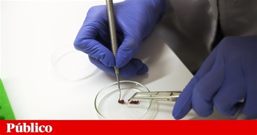 Resultados do novo concurso de estímulo ao emprego científico saem em Setembro