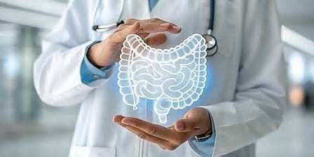 “Segundo cérebro”: O que a ciência já sabe sobre a importância do intestino na saúde mental
