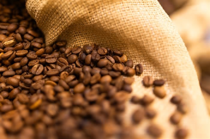 Cooxupé prevê queda no volume de venda de café em 2025