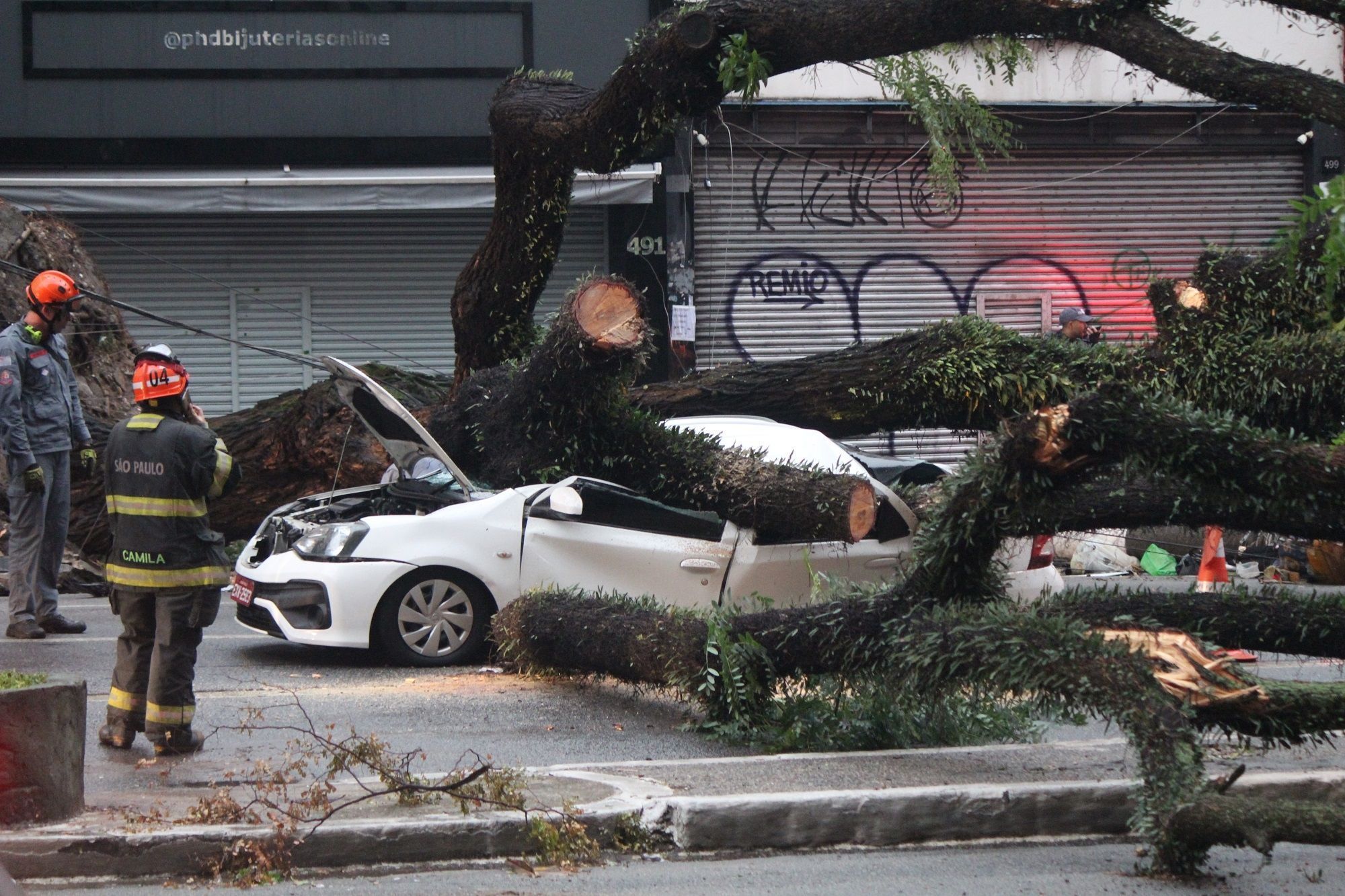 Temporal em São Paulo: Taxista morre após árvore cair sobre carro; teto de restaurante desaba
