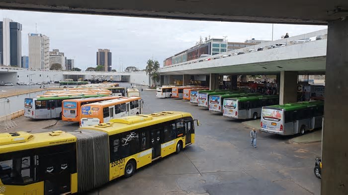 Transporte gratuito e segurança reforçada: Carnaval do DF levou 700 mil pessoas às ruas