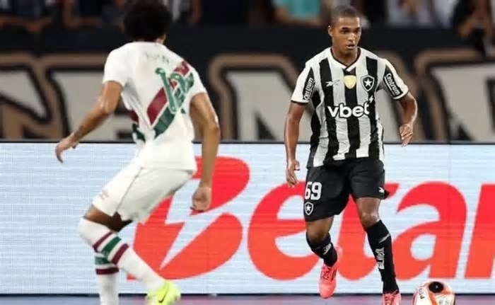 Joias do Botafogo voltam para as categorias de base após participação no estadual