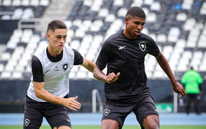 'Soluções' no Estadual, promessas do Botafogo voltam para a base