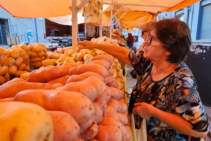 Acesso às feiras ecológicas de Porto Alegre é desigual, aponta estudo da UFRGS