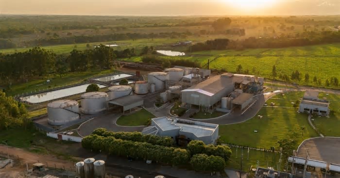 Be8 consolida presença no mercado nacional de biocombustíveis