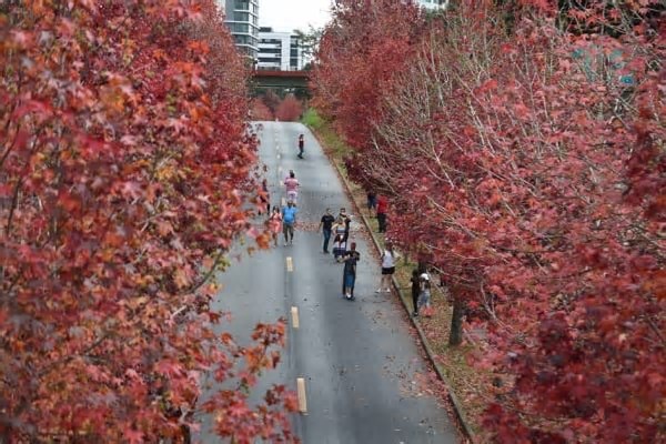 Curitiba entra na seleção dos grandes destinos do outono no País, segundo portal de turismo