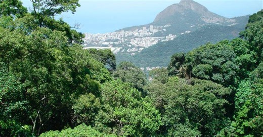Conheça o programa do Governo Federal que vai mobilizar 50 cidades contra o aquecimento global