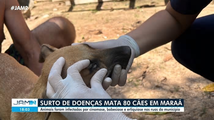 Ministério Público investiga gastos milionários de prefeitura em festa de aniversário de cidade no interior do AM