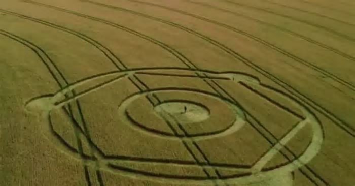 Mistério no campo de trigo: marca inexplicável surge em plantação