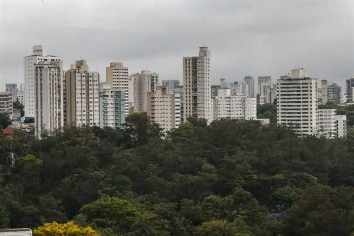 São Paulo lidera ranking de cidades brasileiras com maior intensidade de ligações empresariais