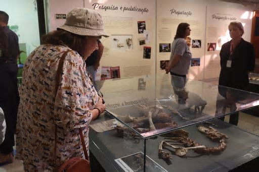 Quarta Colônia vira destino de pacote turístico nacional
