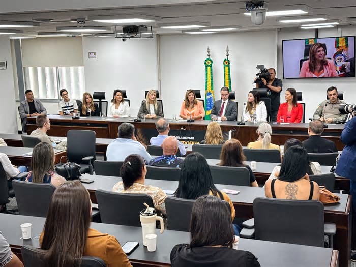 Frente Parlamentar de Combate à Pedofilia e ao Abuso Infanto-Juvenil é instalada na Assembleia Legislativa do RS
