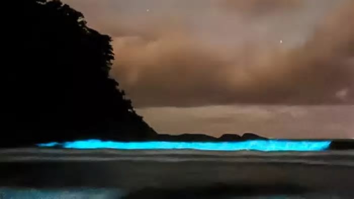 Mar azul fluorescente em praia de São Paulo chama atenção de turistas; entenda o fenômeno raro