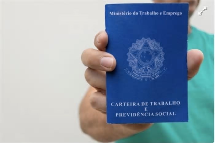 Setcemg e PBH promovem Feirão de Empregos no setor de transporte e logística; saiba como participar