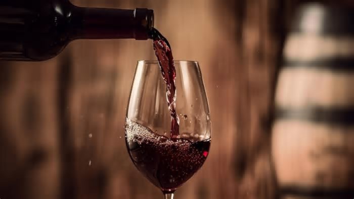 Vinhos do Centro-Oeste brilham no Vinalies Internacionales 2025