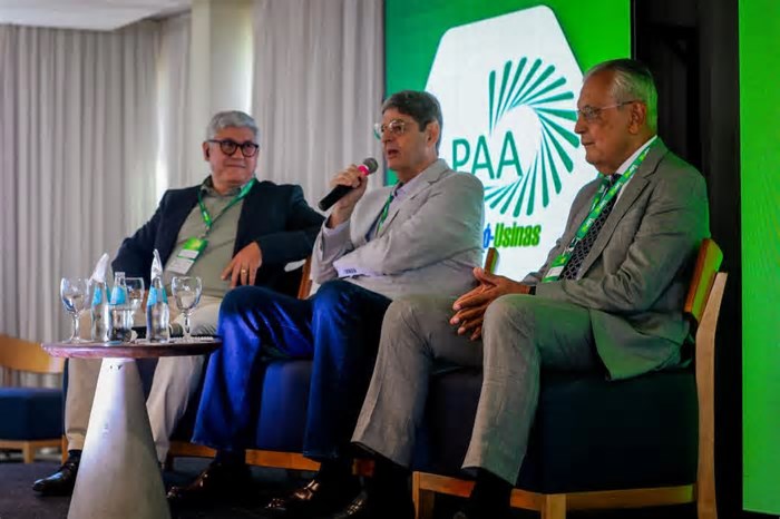 UAPNE25: Debate sobre os desafios institucionais do setor