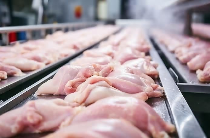 Entre os três estados do Sul, continua recaindo sobre Santa Catarina o maior custo de produção do frango