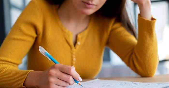 Mais de 430 vagas em concursos públicos estão abertas no RS