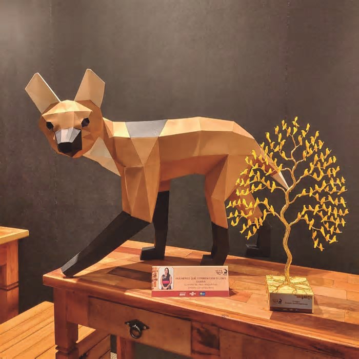 LuTsuru – Origami feito no Guará
