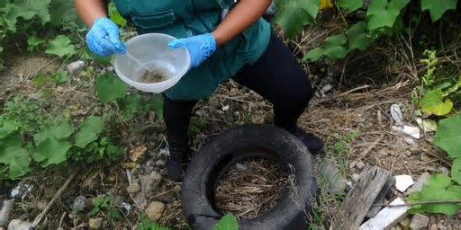 Número de casos de dengue neste ano é o menor para o período desde 2020 no RS