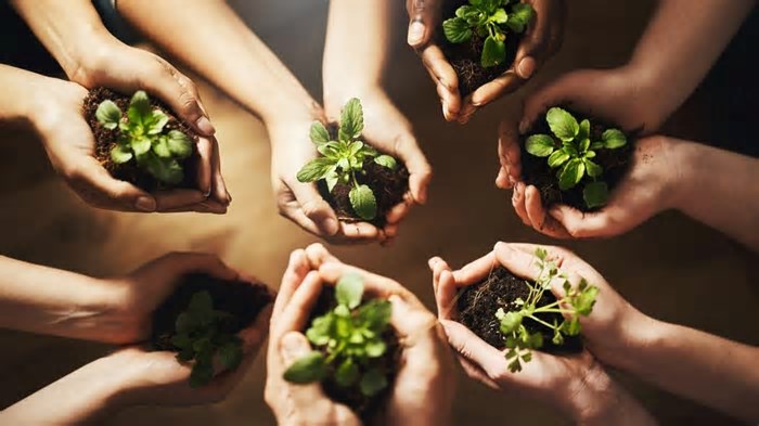 Braztoa abre inscrições para Prêmio Braztoa de Sustentabilidade 2025
