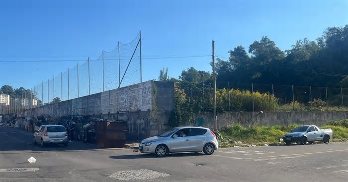 Safra de caqui em Caxias do Sul deve ser 15% maior em 2025