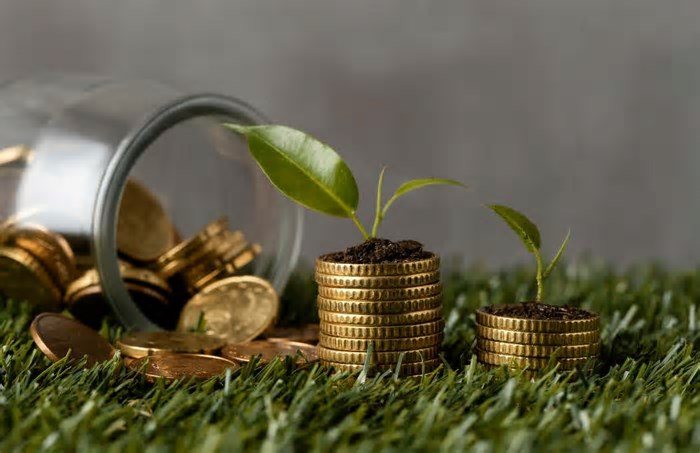 IPTU Sustentável pode tornar as cidades brasileiras mais verdes e resilientes