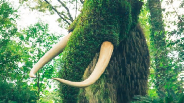 Ciência considera “reviver” espécies animais extintas há mais de 4 mil anos