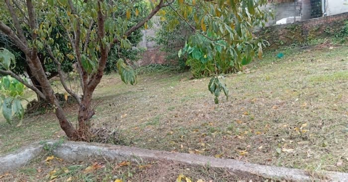 Bairro Santa Fé em Caxias do Sul terá jardim criativo e comestível