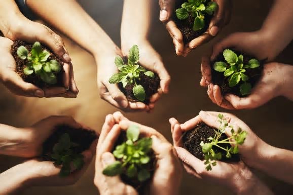 Prêmio Braztoa de Sustentabilidade 2025 abre inscrições com novidades e destaque para a Amazônia