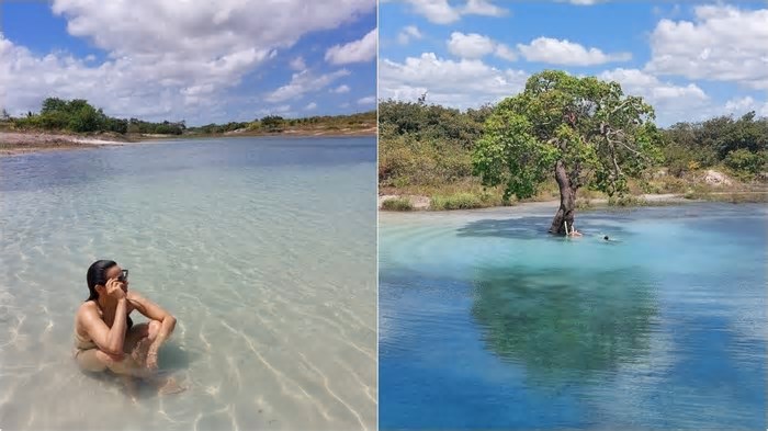 Lagoa 'secreta' no Ceará tem água cristalina, cajueiro submerso e some durante a maior parte ano