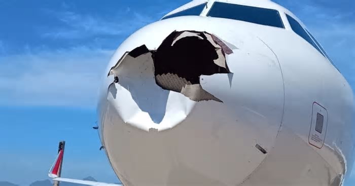 Urubu no para-brisa, voo abortado e mais: os estragos das aves que batem em aviões