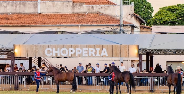 Herdeiros da Raça, evento que promove competição da raça Mangalarga Marchador, chega a BH em abril