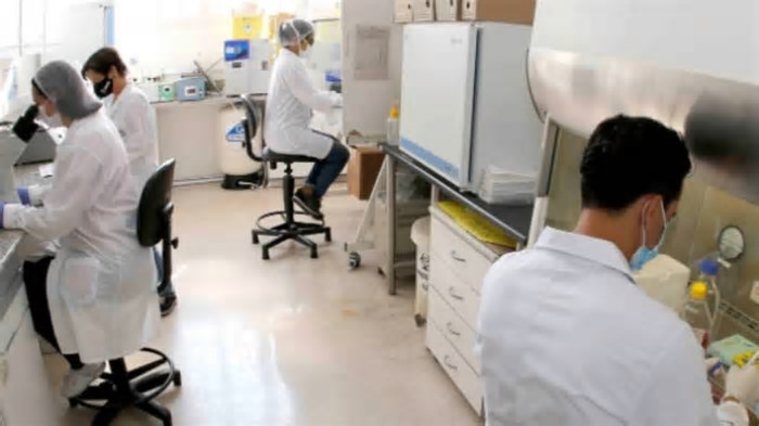 Fábrica da Funed, em BH, é reaberta para produção de soro contra picada de animais peçonhentos