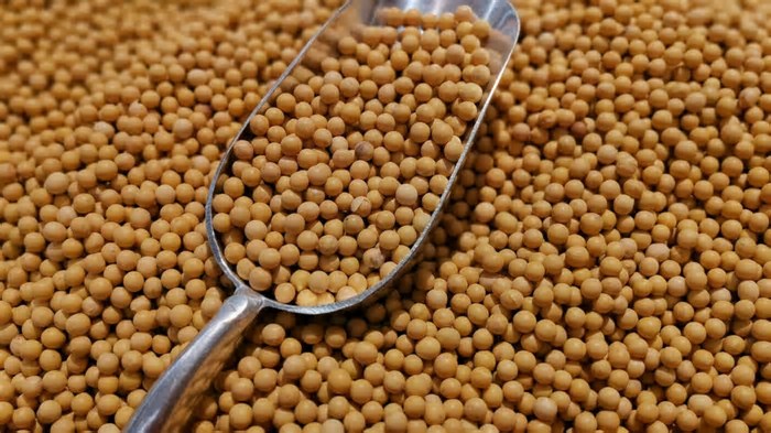 China Responde Ao Canadá com Novas Tarifas Agrícolas