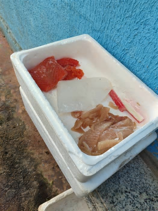 Restaurante clandestino de comida japonesa é fechado em Goiânia por vender produtos impróprios ao consumo